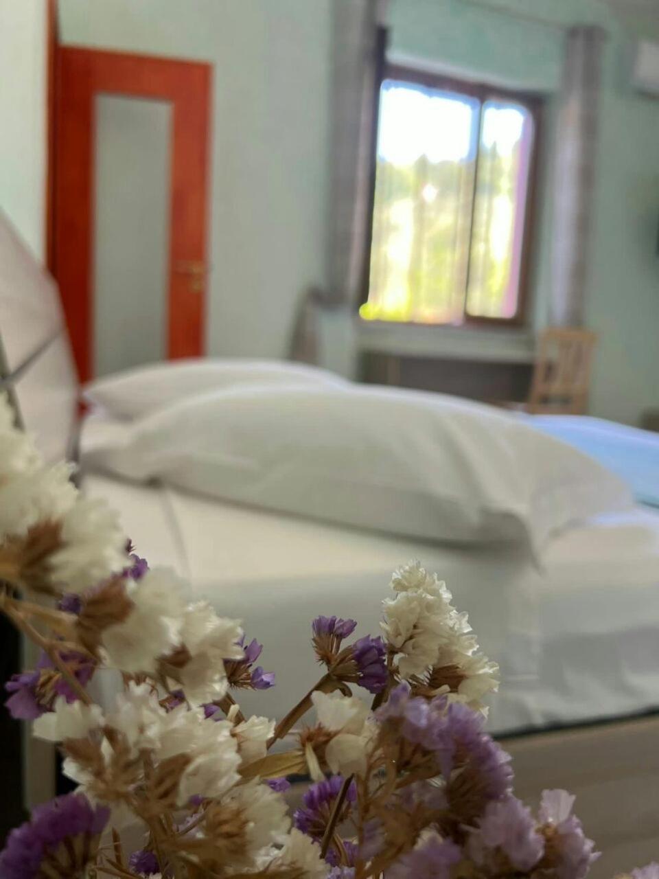 B&B Donnamaria Pimonte Εξωτερικό φωτογραφία